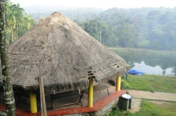 Mystique Falls Resort, Sakleshpur 4